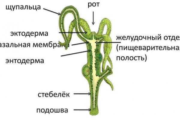 Кракен зеркало рабочее на сегодня